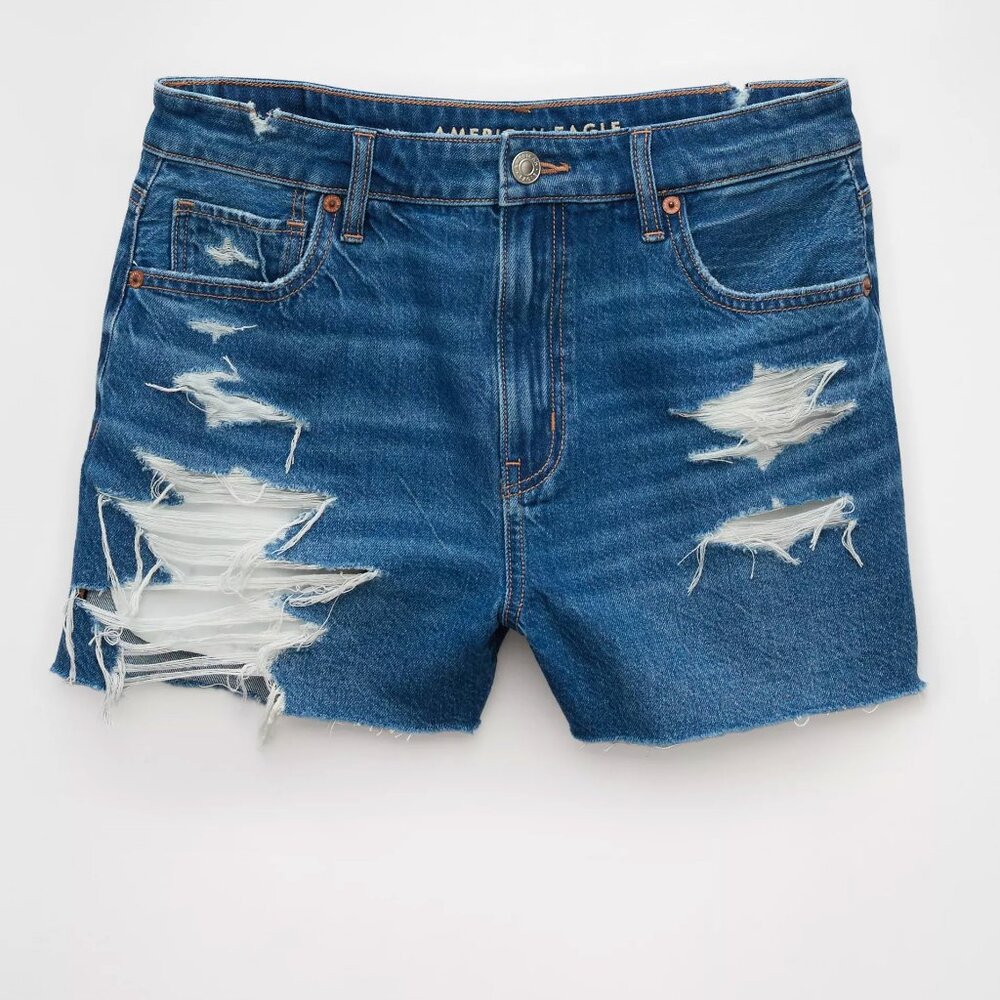 American Eagle Strigid Ripped Denim Mom Short - Size 2
